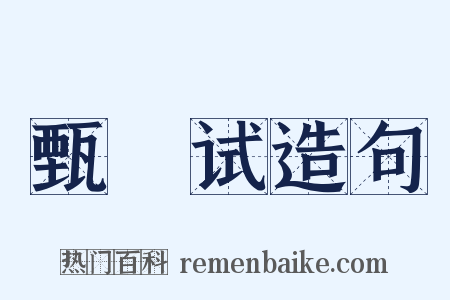甄録试造句是什么意思的图片